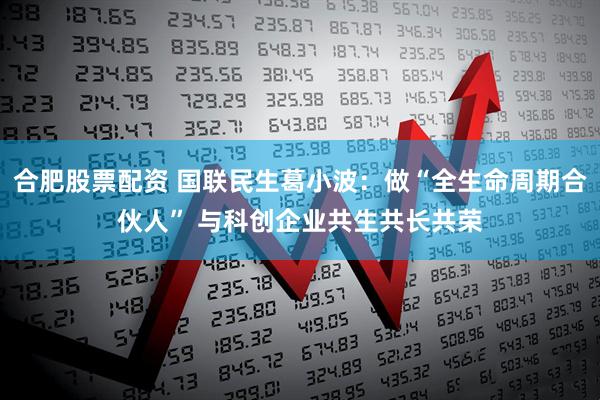 合肥股票配资 国联民生葛小波:做“全生命周期合伙人” 与科创企业共生共长共荣