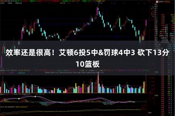 效率还是很高！艾顿6投5中&罚球4中3 砍下13分10篮板